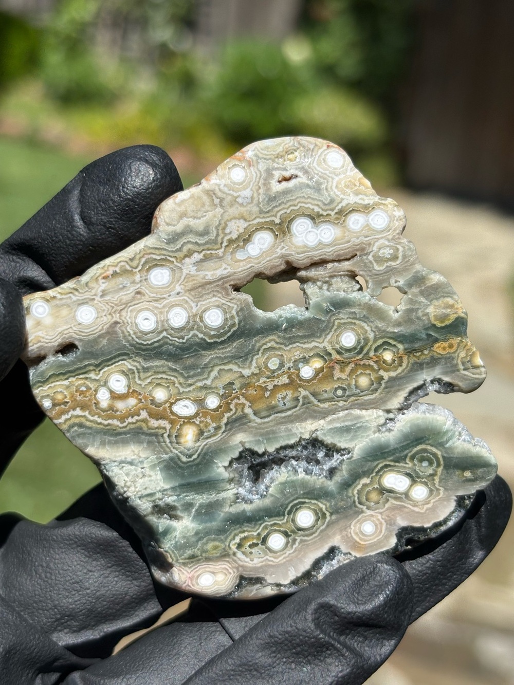 Ocean Jasper Crystal Slab - Polished Orbicular Jasper - Druzy Sea Jasper